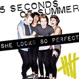 5 Seconds of Summer 'She Looks So Perfect'