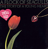 A Flock Of Seagulls 'The More You Live, The More You Love'