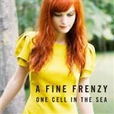A Fine Frenzy 'Almost Lover'
