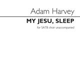 Adam Harvey 'My Jesu, Sleep'