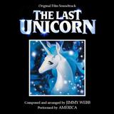 America 'The Last Unicorn'