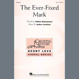 Andrew Jacobson 'The Ever Fixed Mark'