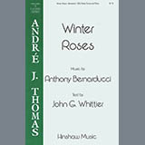 Anthony Bernarducci 'Winter Roses'