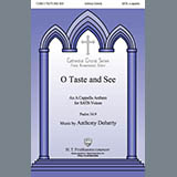 Anthony Doherty 'O Taste And See'