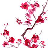 Audrey Snyder 'Sakura (Cherry Blossoms)'
