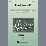 Audrey Snyder 'That Sunset!'