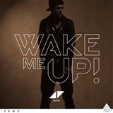 Avicii 'Wake Me Up'