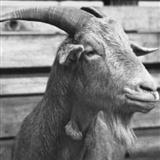 B Lee 'Paddy McGintys Goat'
