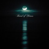 Band Of Horses 'No One's Gonna Love You'