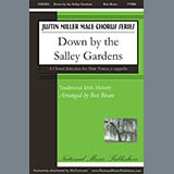 Ben Bram 'Down By The Salley Gardens'