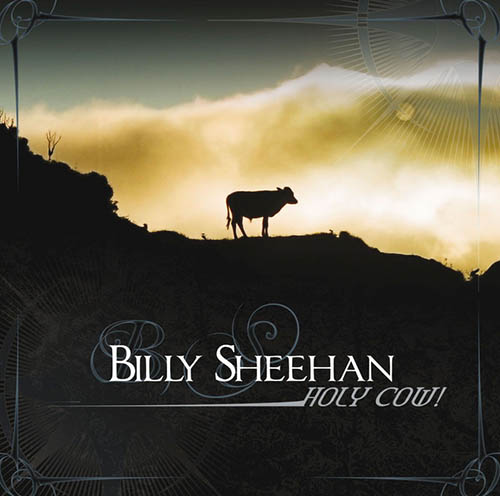 Easily Download Billy Sheehan Printable PDF piano music notes, guitar tabs for Bass Guitar Tab. Transpose or transcribe this score in no time - Learn how to play song progression.