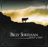 Billy Sheehan 'Dynamic Exhilarator'