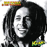 Bob Marley & The Wailers 'Is This Love'