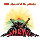 Bob Marley 'Forever Loving Jah'