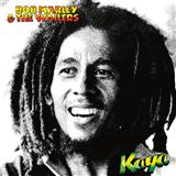 Bob Marley 'Sun Is Shining'