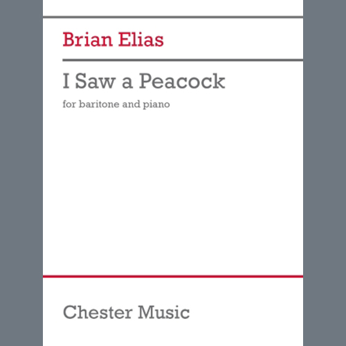 Easily Download Brian Elias Printable PDF piano music notes, guitar tabs for Piano & Vocal. Transpose or transcribe this score in no time - Learn how to play song progression.