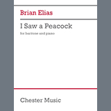 Brian Elias 'I Saw a Peacock'