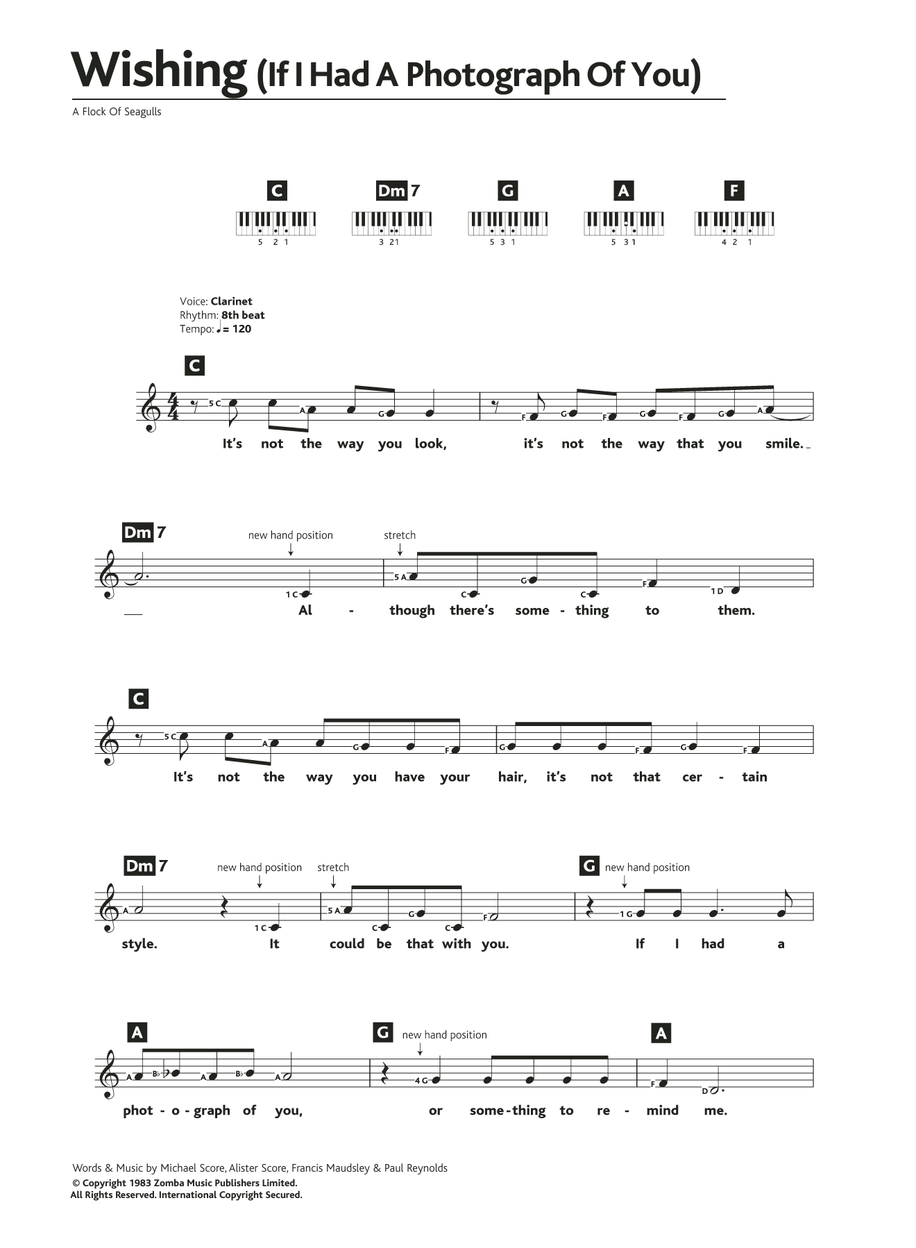 A Flock Of Seagulls Wishing (If I Had A Photograph Of You) Sheet Music