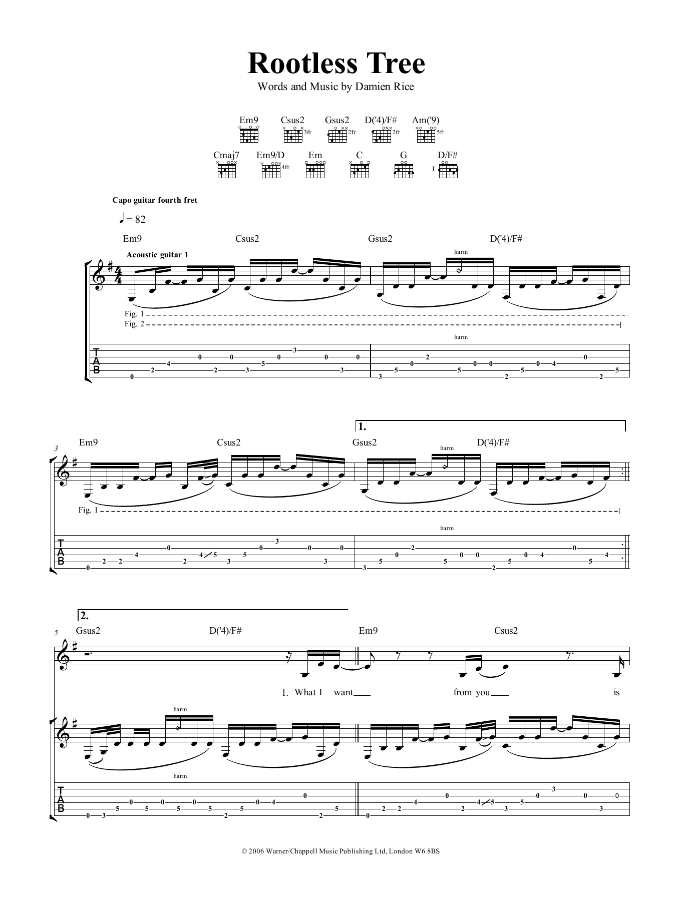 Damien Rice Rootless Tree Sheet Music