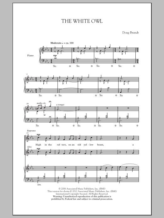 Doug Brandt The White Owl Sheet Music