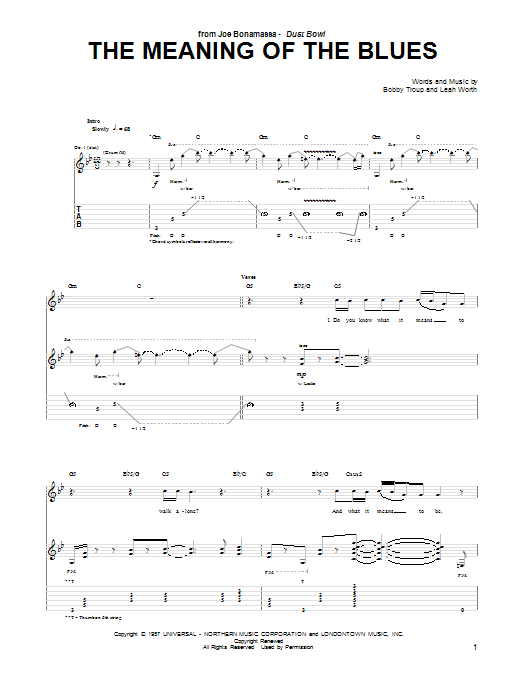 Joe Bonamassa The Meaning Of The Blues Sheet Music