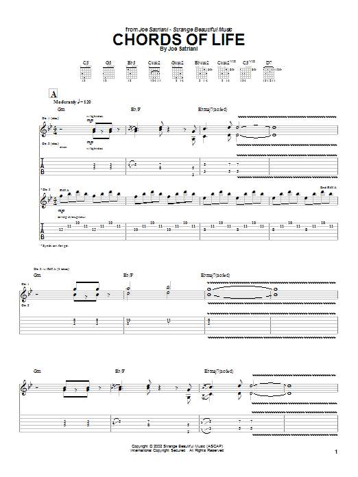 Joe Satriani Chords Of Life Sheet Music