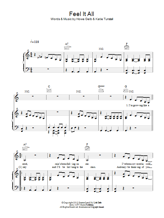 KT Tunstall Feel It All Sheet Music