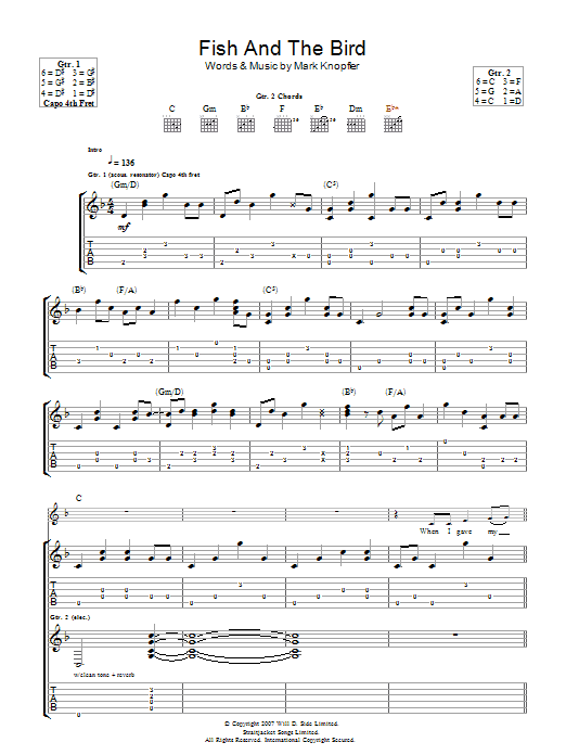 Mark Knopfler The Fish And The Bird Sheet Music