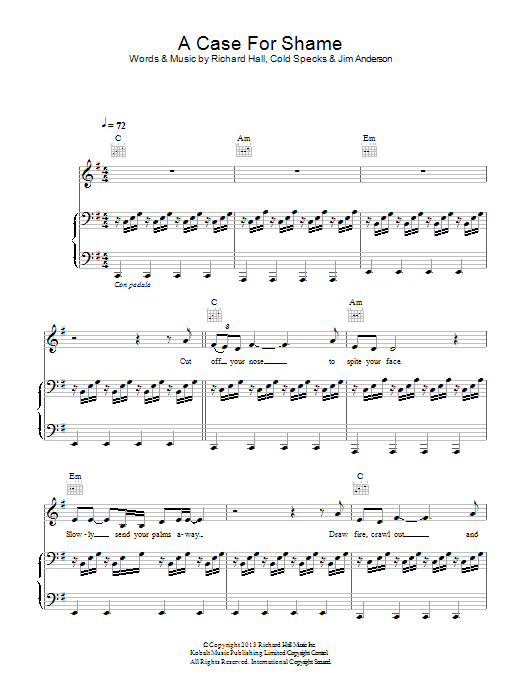 Moby A Case For Shame Sheet Music