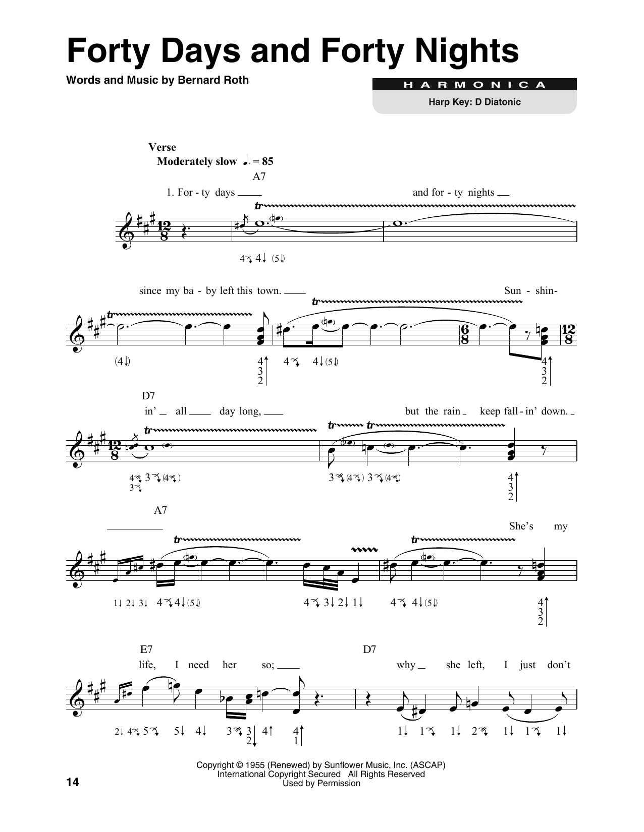 Muddy Waters Forty Days And Forty Nights Sheet Music