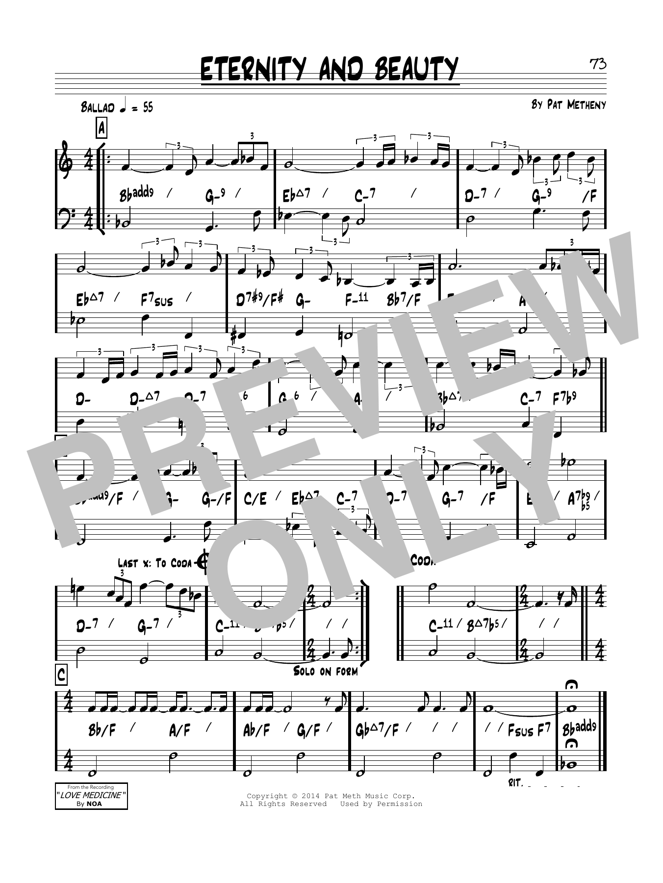 Pat Metheny Eternity & Beauty Sheet Music