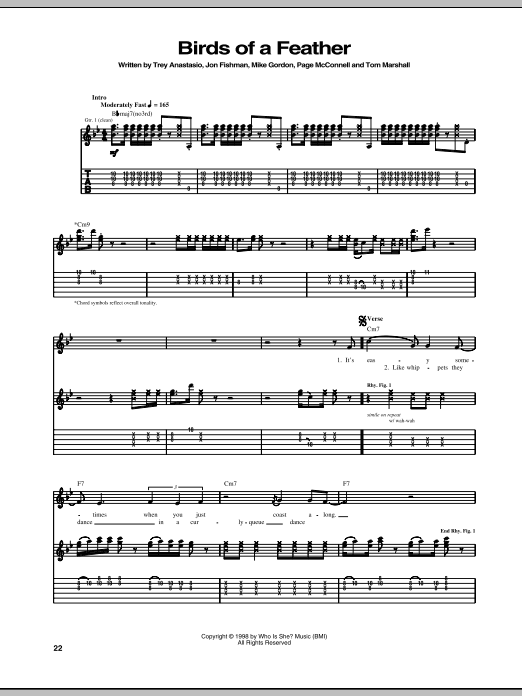 Phish Birds Of A Feather Sheet Music