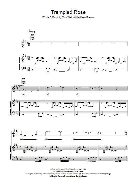 Robert Plant & Alison Krauss Trampled Rose Sheet Music