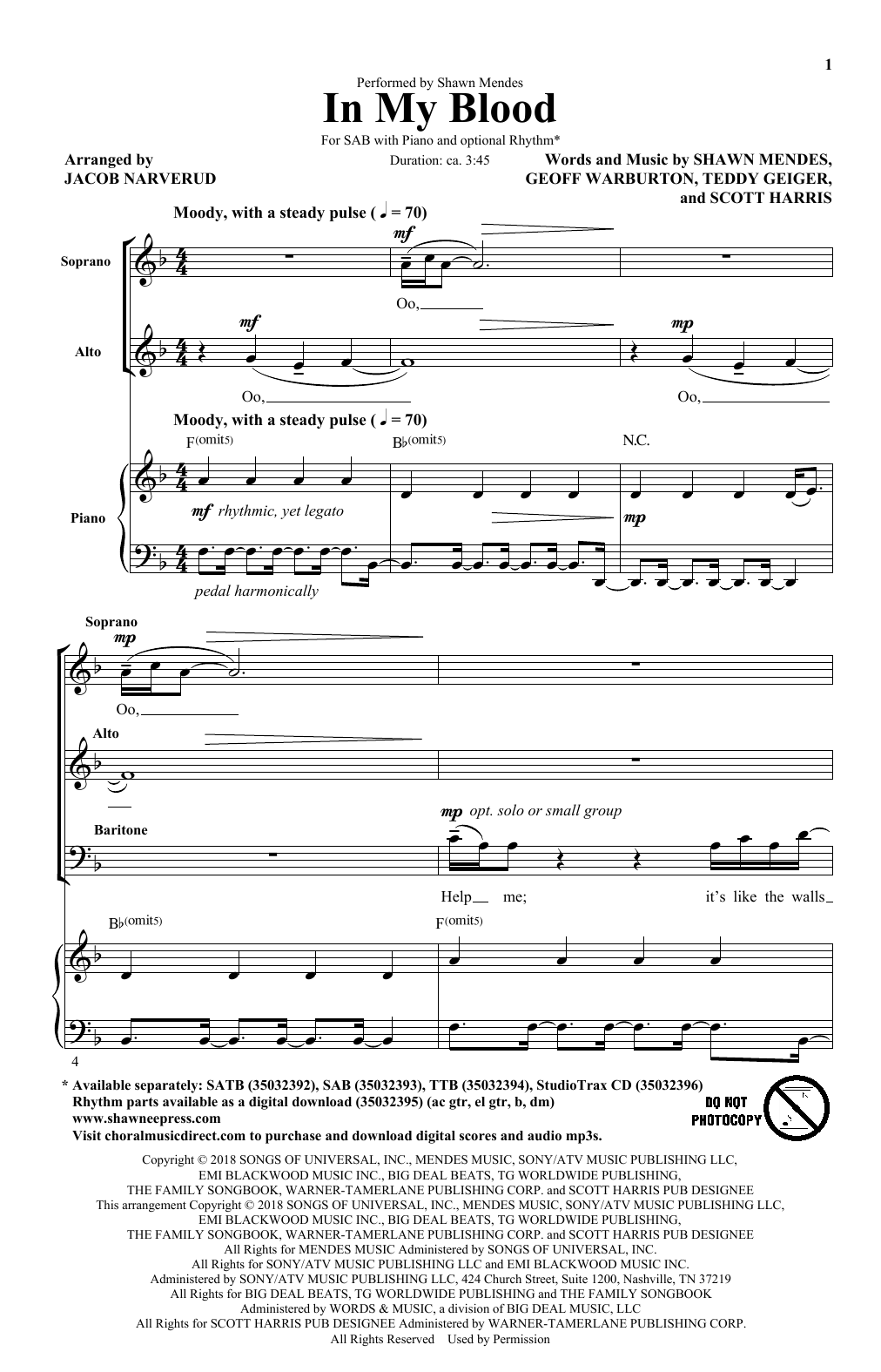 Shawn Mendes In My Blood (arr. Jacob Narverud) Sheet Music