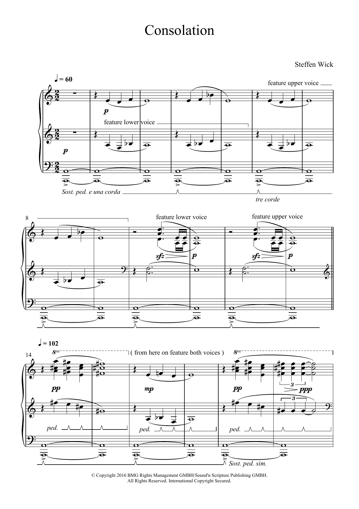 Steffen Wick Consolation Sheet Music