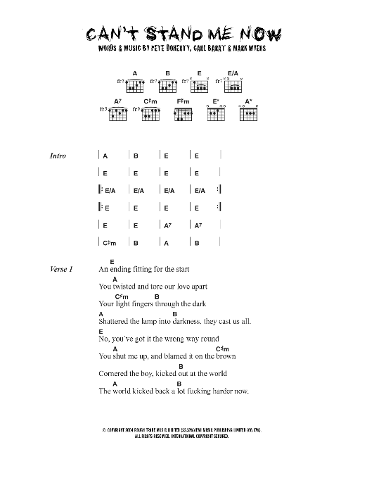 The Libertines Can't Stand Me Now Sheet Music