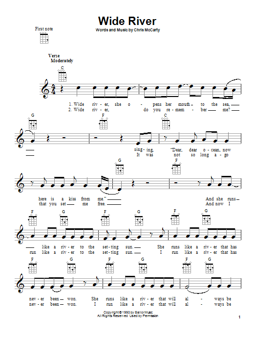 The Steve Miller Band Wide River Sheet Music