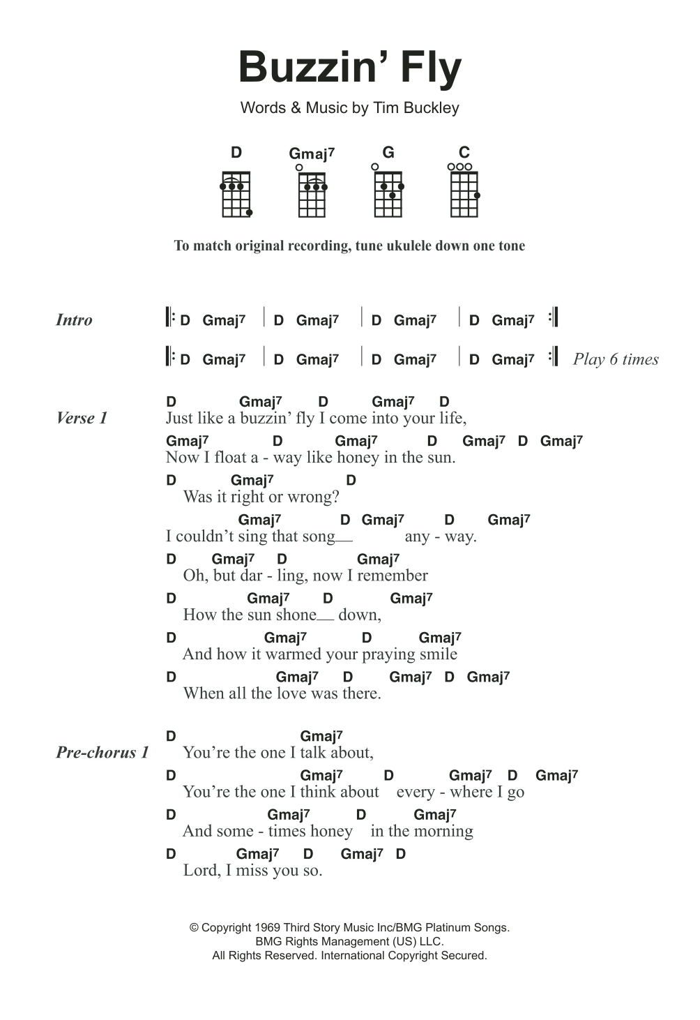 Tim Buckley Buzzin' Fly Sheet Music