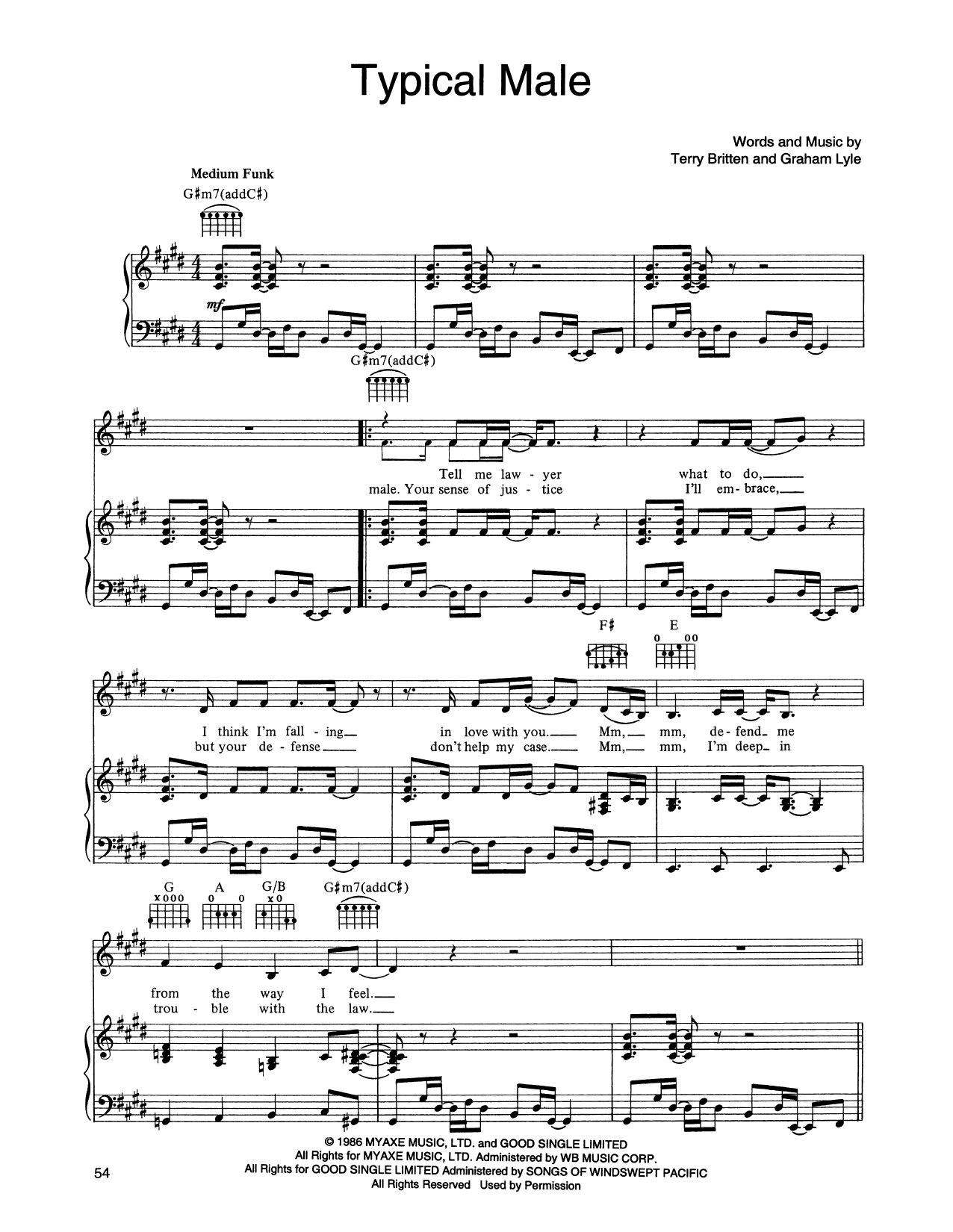 Tina Turner Typical Male Sheet Music