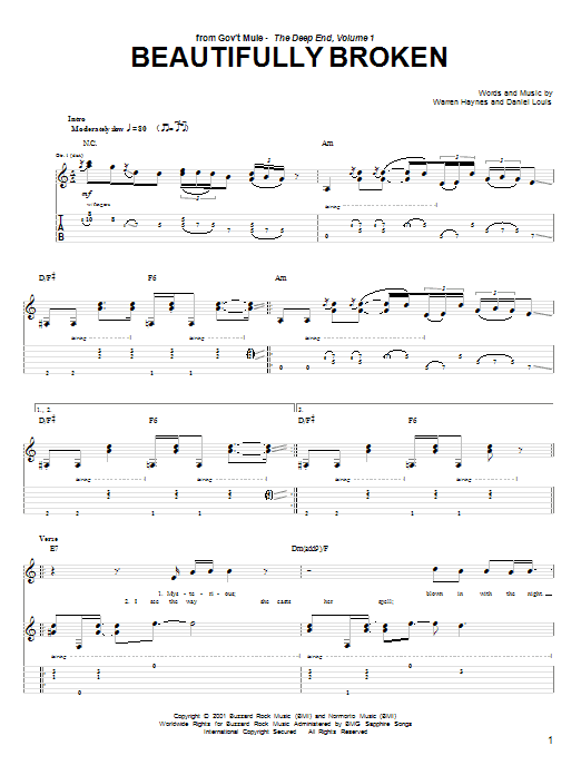 Warren Haynes Beautifully Broken Sheet Music