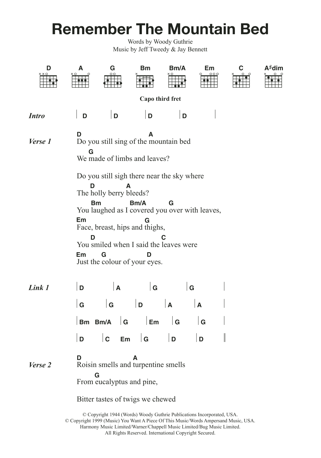 Wilco & Billy Bragg Remember The Mountain Bed Sheet Music