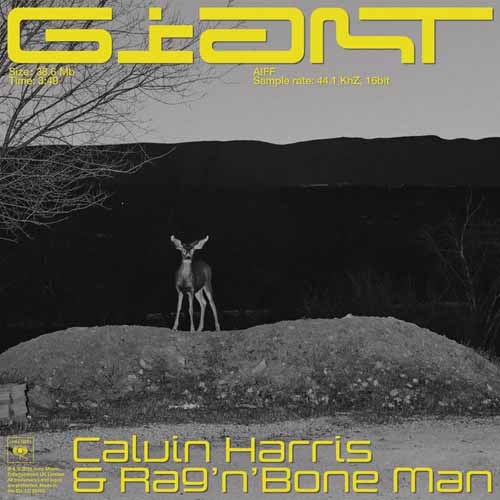 Easily Download Calvin Harris & Rag'n'Bone Man Printable PDF piano music notes, guitar tabs for Piano, Vocal & Guitar Chords (Right-Hand Melody). Transpose or transcribe this score in no time - Learn how to play song progression.