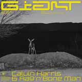 Calvin Harris & Rag'n'Bone Man 'Giant'