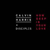 Calvin Harris and Disciples 'How Deep Is Your Love'