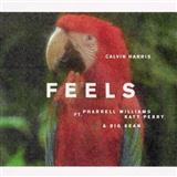 Calvin Harris 'Feels (featuring Pharrell Williams, Katy Perry and Big Sean)'