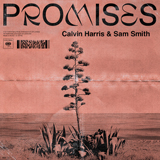 Calvin Harris 'Promises (feat. Sam Smith)'