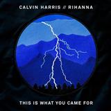 Calvin Harris 'This Is What You Came For (feat. Rihanna)'