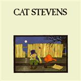 Cat Stevens 'Moonshadow'
