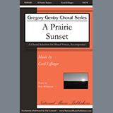 Cecil Effinger 'A Prairie Sunset'