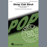 Christopher Peterson 'Stray Cat Strut'